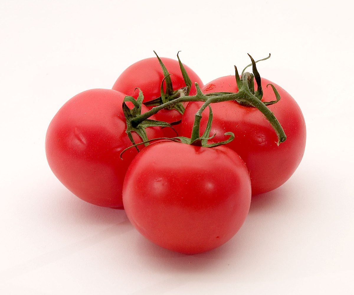 tomato_bacterial_spot
